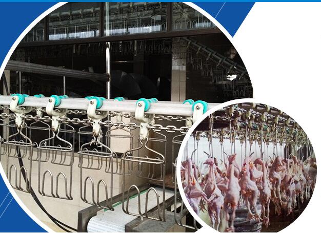 �u���Z������ˮ��